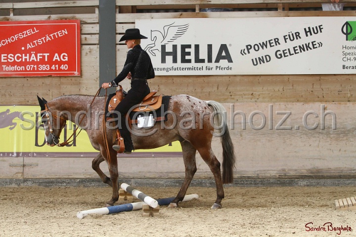28-ApHC OT_180.jpg